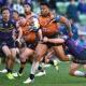 Fonua Pole